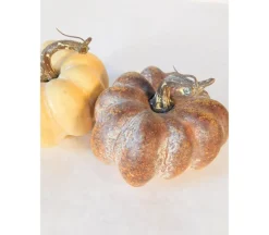 Pumpkin Set – 6 Piece