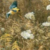 Queen Anne’s Lace and American Goldfinch – 500 Piece Puzzle