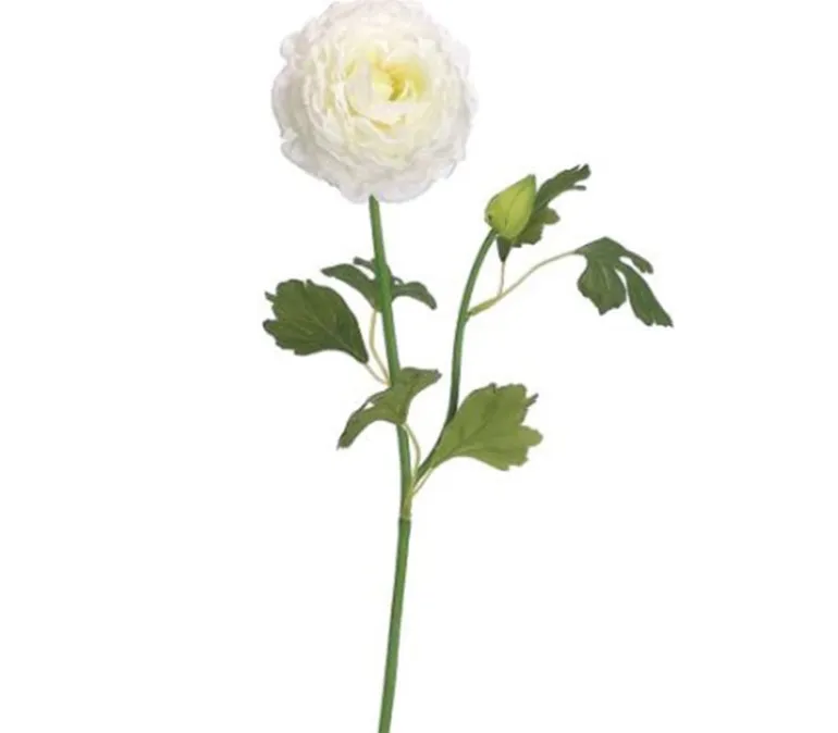 19″ Ranunculus Spray, Cerise Pink