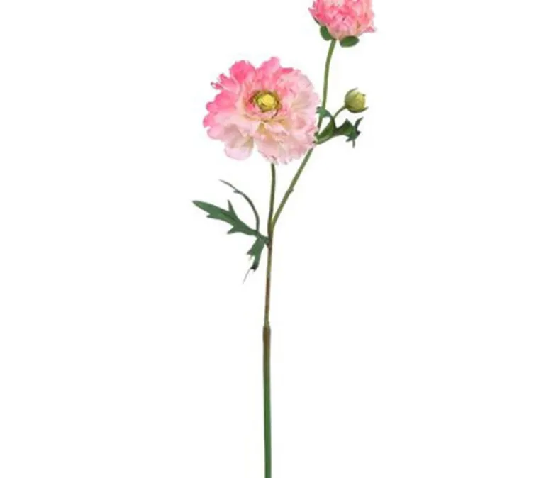 23″ Ranunculus Spray, Cream
