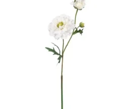 23″ Ranunculus Spray, Cream