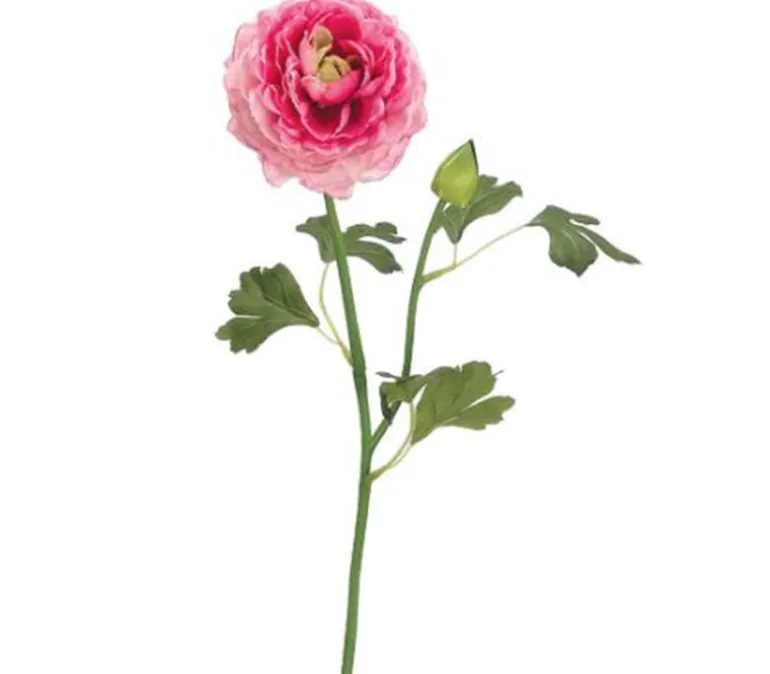 23″ Ranunculus Spray, Cream