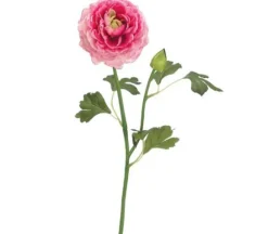 23″ Ranunculus Spray, Pink