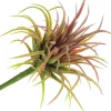 6″ Real Touch Baby Aeonium Pick