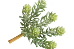 12″ Real Touch Burgundy Green Sedum Pick