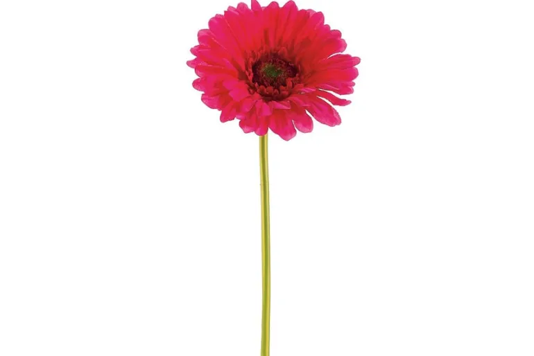 7.5″ Resin Bunny Taper Holder With Glass, Cream