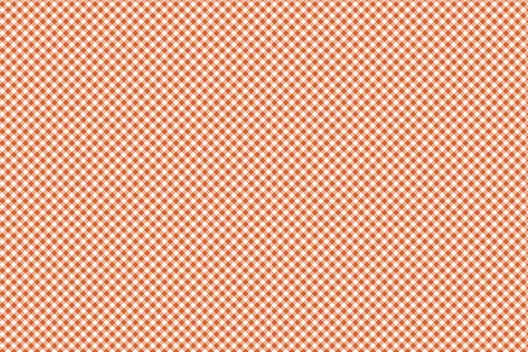 Riley Blake Halloween Orange and Black Pindot on White