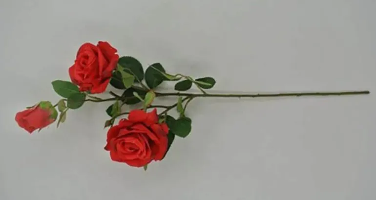 30″ Rose Stem, Cream