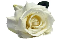 13″ Rose Stem, Red