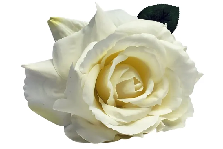 13″ Rose Stem, White