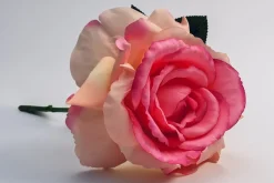 19″ Rosette Hanging Succulent, Burgundy/Green