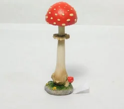 Round Mushroom