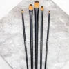 Royal Brush Essentials Golden Talon Filbert Brush Set – 5 Piece