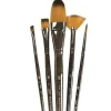 Royal Brush Zen Oval Wash Brush Set – 5 Piece