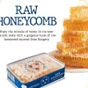 Savannah Bee Company Pure Raw Acacia Honeycomb – 5.6-ounce