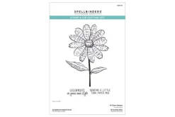 Sculpted Scripted Floral Clear Stamp & Die Set