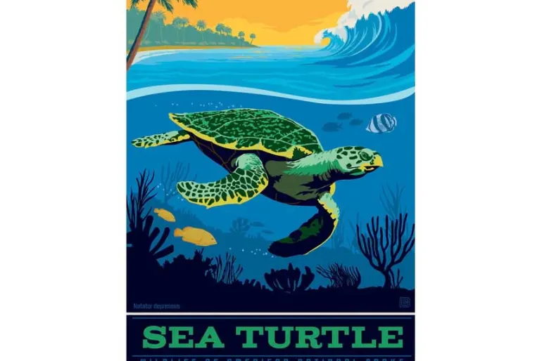 Sea Turtle – 300 Piece Puzzle