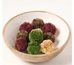 2″ Sedum Orbs, 4pc.