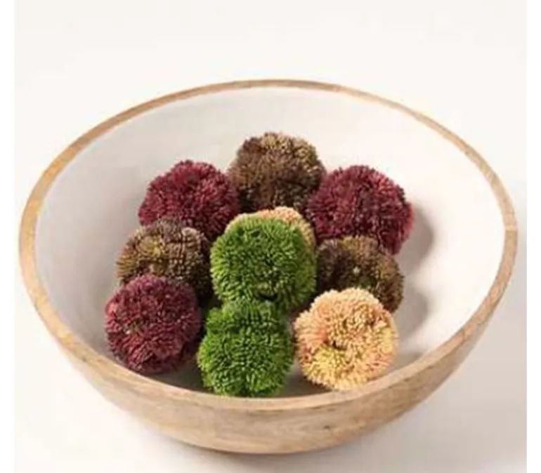 2″ Sedum Orbs, 4pc.