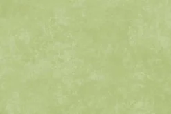 Shadow Play Cotton Basic in Butterfly Green