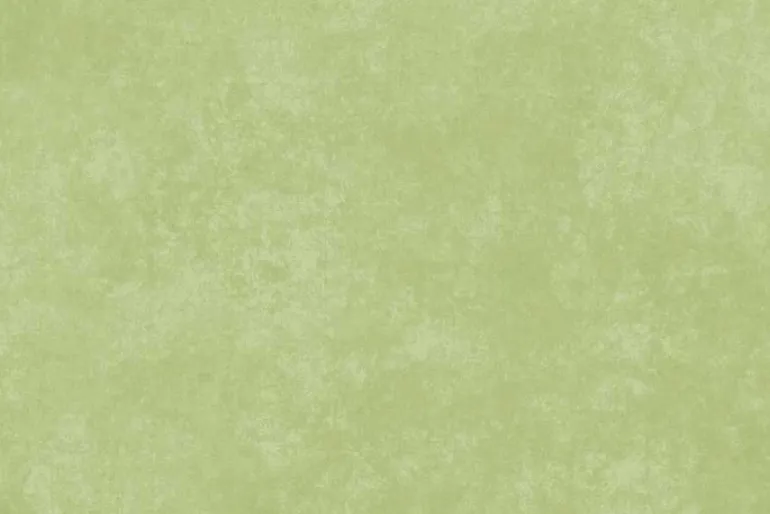 Shadow Play Cotton Basic in Butterfly Green