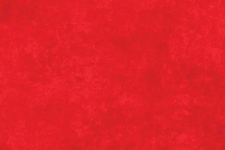 Shadow Play Flannel Basic in Classic Red