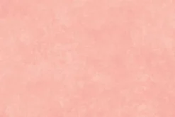 Shadow Play Flannel Basic in Peony Pink