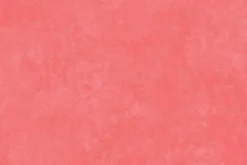 Shadow Play Flannel Basic in Shell Pink