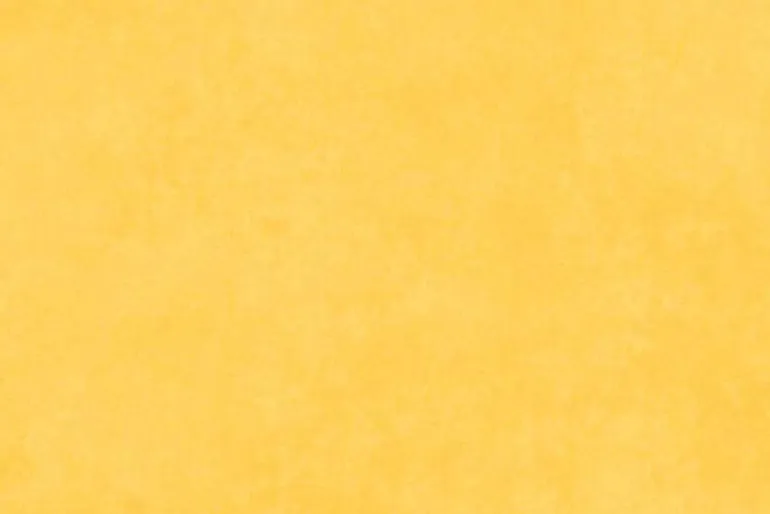 Shadow Play Flannel Basic in Sunflower Yellow