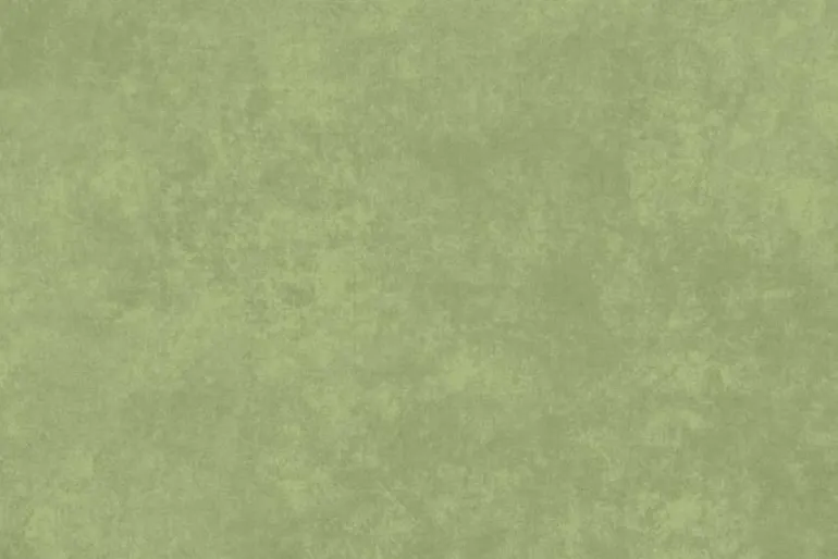 Shadow Play Flannel Basic in Thyme Green