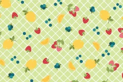 Sippin’ on Sunshine Bias Gingham Red on White