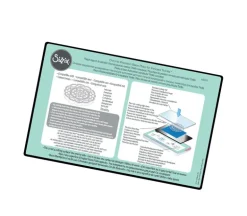 Sizzix Chrome Precision Base Plate
