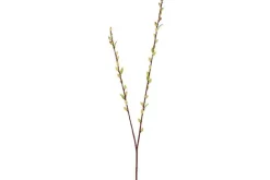 11.8″ Soft Aeonium Pick, Green/Gray