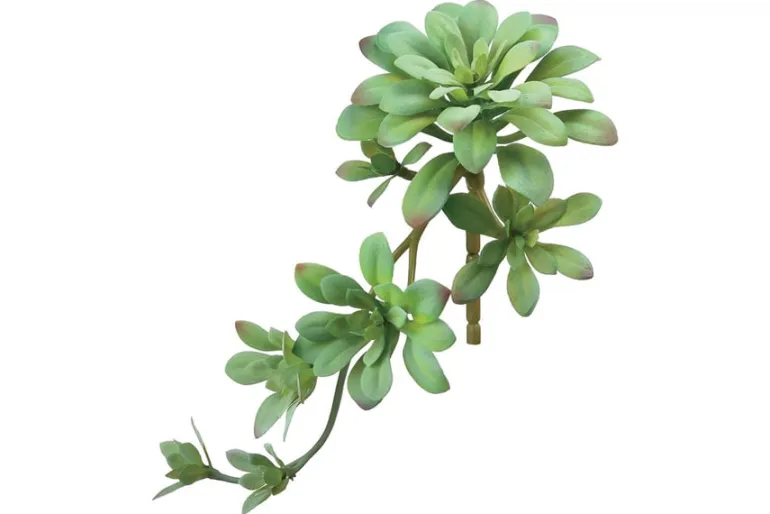 11.8″ Soft Aeonium Pick, Green/Gray