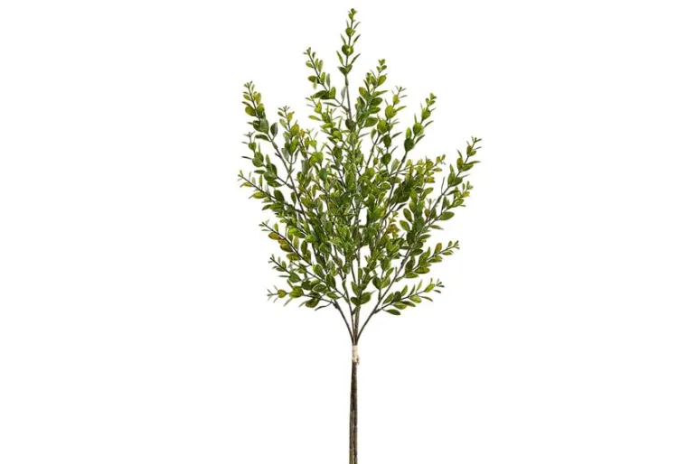 11.8″ Soft Aeonium Pick, Green/Gray