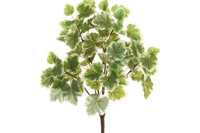11.8″ Soft Aeonium Pick, Green/Gray