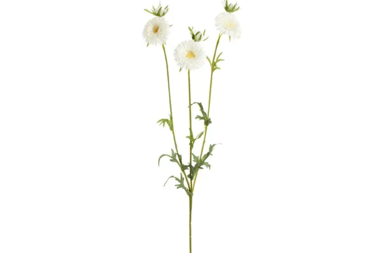 11.8″ Soft Aeonium Pick, Green/Gray