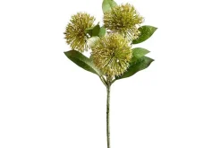 11.8″ Soft Aeonium Pick, Green/Gray