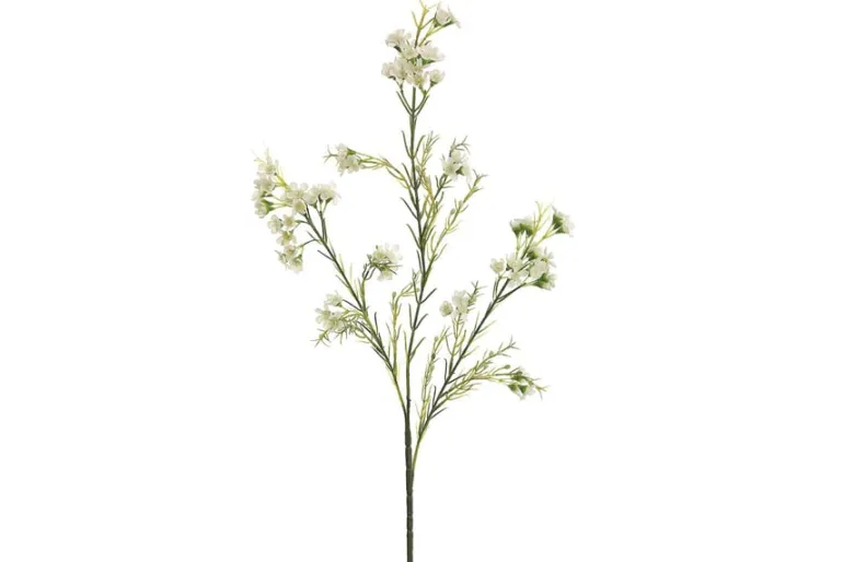 11.8″ Soft Aeonium Pick, Green/Gray