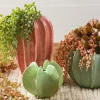 SPC Light Green Cactus Vase – 4-inch