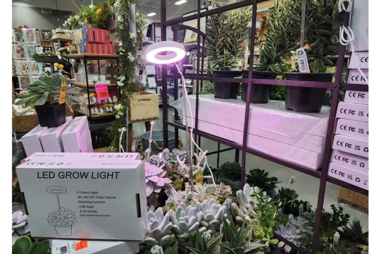 SPC Novelty Grow Light – Indoor Plant Lighting