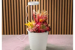 SPC Novelty Grow Light – Indoor Plant Lighting