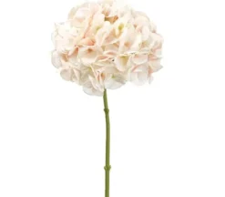 24.5″ Spider Flower Spray, White