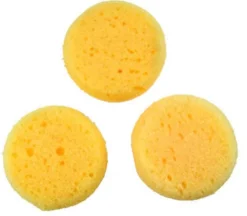Sponge – Small