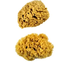 Sponge Value Pack – Extra Large
