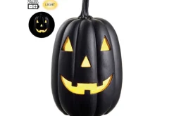 12.4″ Spooky Skull On Books with Batt. Op Candles in Cloche