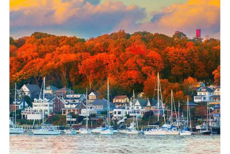 Springbok Harbor in the Fall Puzzle – 500 Piece