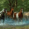 Springbok Home Sweet Home Puzzle – 500 Piece