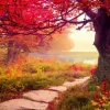 Springbok Stone Path Puzzle – 1000 Piece