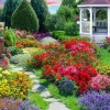 Springbok Vineyard View Puzzle – 500 Piece